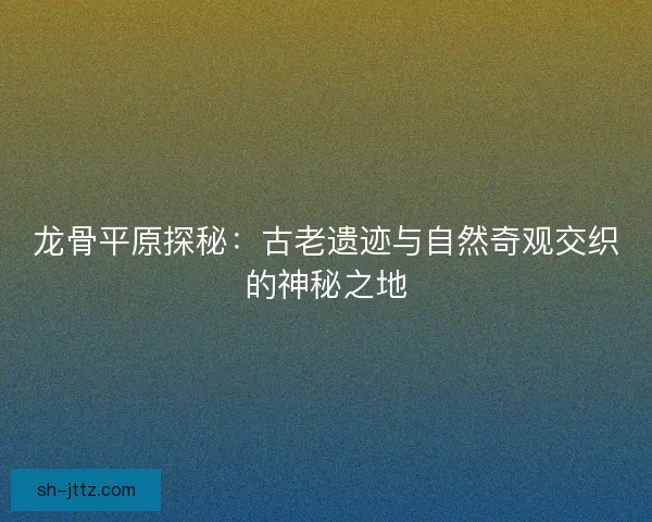 龙骨平原探秘：古老遗迹与自然奇观交织的神秘之地